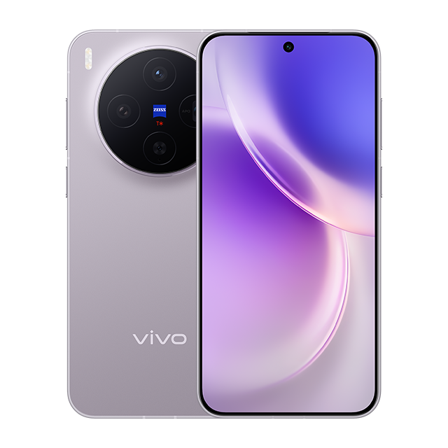 Vivo X300